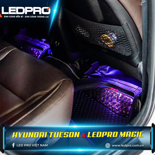 LEDPRO MAGIC 